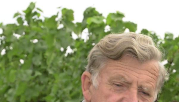Wildmuskat ist Gerhard Streckers &quot;Lieblingskind&quot; und das Markenzeichen seines Weingutes Amalienhofs mit Standorten in Beilstein und Heilbronn.Foto: Archiv/Dirks