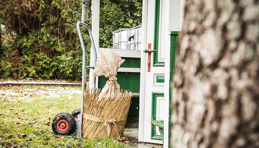 Gut geschützt: Umwickelt mit Vlies und im Winterquartier überstehen empfindliche Pflanzen die kalte Jahreszeit gut. Gut geschützt: Umwickelt mit Vlies und im Winterquartier überstehen empfindliche Pflanzen die kalte Jahreszeit gut.