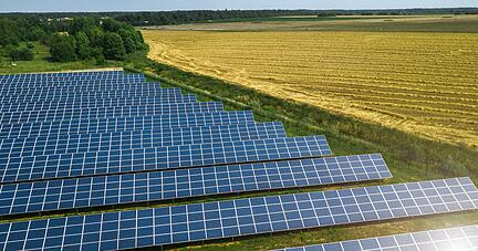 Sollen demnächst auch auf Eppingens Ackerböden Solarmodule statt Weizen wachsen? Eine schwere Entscheidung für den Gemeinderat.
Foto: Dzimitry Palubiatka/stock.adobe.com