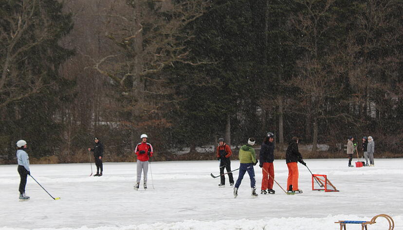 Eisläufer auf dem Neumühlsee in Waldenburg ziehen sich eine Bahn und nutzen den zugefrorenen See zum Eishockeyspielen, einfach so zum Laufen oder ziehen den Schlitten über die Bahn. Foto: Stefanie Jani Eisläufer auf dem Neumühlsee in Waldenburg ziehen sich eine Bahn und nutzen den zugefrorenen See zum Eishockeyspielen, einfach so zum Laufen oder ziehen den Schlitten über die Bahn. Foto: Stefanie Jani