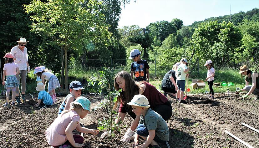 Fleißig werkeln Kindergartenkinder mit den Erzieherinnen auf ihrem neuen Kiga-Acker. Hier soll bald Gemüse gedeihen.
Foto: Margit Stöhr-Michalsky