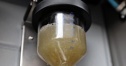 Bei Nordwasser in Rostock wird bei der automatischen Probennahme von Abwasser eine Probe entnommen, die unter anderem auf Coronaviren untersucht wird. Bei Nordwasser in Rostock wird bei der automatischen Probennahme von Abwasser eine Probe entnommen, die unter anderem auf Coronaviren untersucht wird.