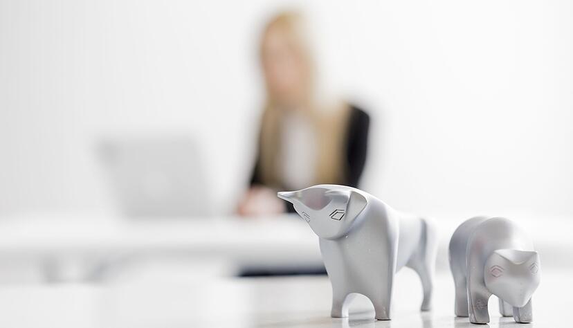 Erwartet uns 2026 ein Bullen- oder ein B&auml;renmarkt? F&uuml;r Anlegerinnen und Anleger w&auml;re es sch&ouml;n, das vorhersehen zu k&ouml;nnen.