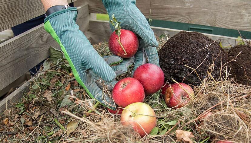 Ein Komposthaufen bietet N&uuml;tzlingen Nahrung und Schutz und zieht viele Gartenhelfer an.