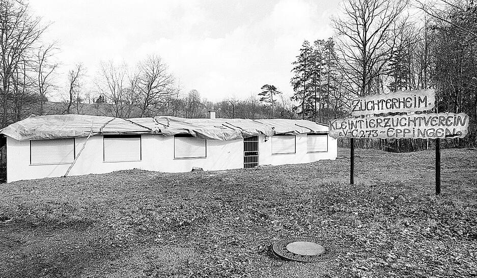 Das Dach des Kleintierzuchtvereins Eppingen wurde beschädigt und musste mit Planen geschützt werden. Das Dach des Kleintierzuchtvereins Eppingen wurde beschädigt und musste mit Planen geschützt werden.