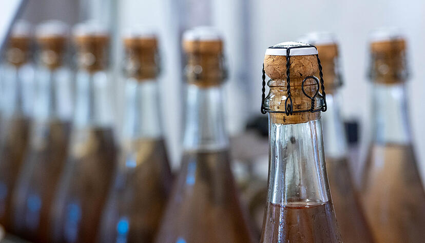 Lesersommer Sektkellerei Stengel in Gellmersbach