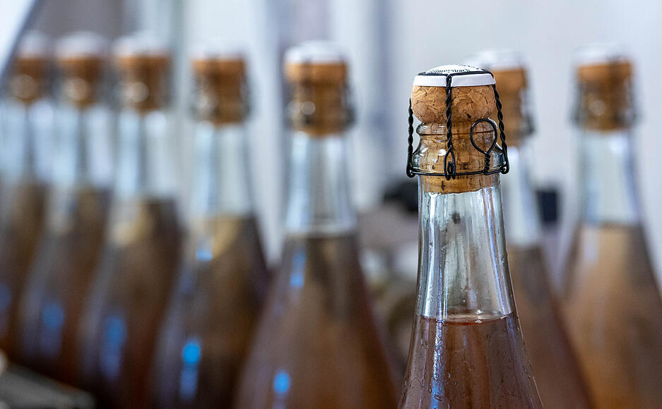 Lesersommer Sektkellerei Stengel in Gellmersbach