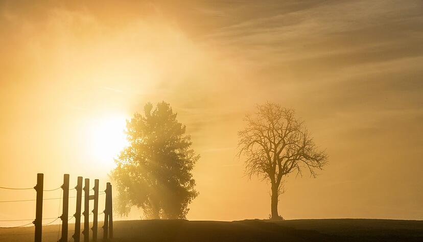 Wenn sich der Nebel aufgel&ouml;st hat, wird es in den kommenden Tagen im S&uuml;dwesten recht freundlich. (Archivbild)