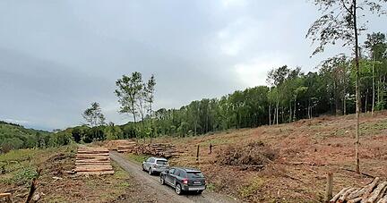 Hier hat kein Waldbrand gewütet, sondern der Borkenkäfer: 2020 türmte sich das Schadholz auf − wie hier im Mulfinger Gemeindewald . Weitere "Katastrophenjahre" folgten. Auch heuer rechnet man mit verheerenden Dürrefolgen.
Foto: Archiv/privat