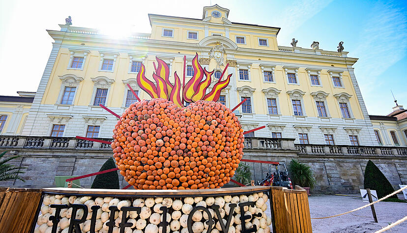 Ein Herz aus K&uuml;rbissen und der Schriftzug &laquo;True Love&raquo; sind im Park im Bl&uuml;henden Barock in Ludwigsburg im Rahmen einer K&uuml;rbisausstellung aufgebaut.