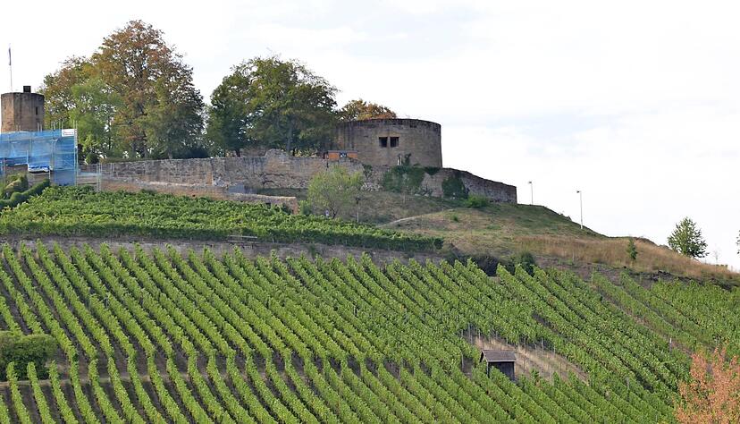 Die treuen Weiber von Weinsberg und die Johanneskirche &minus; zwei weit über die Stadtgrenzen hinaus bekannte Wahrzeichen.
