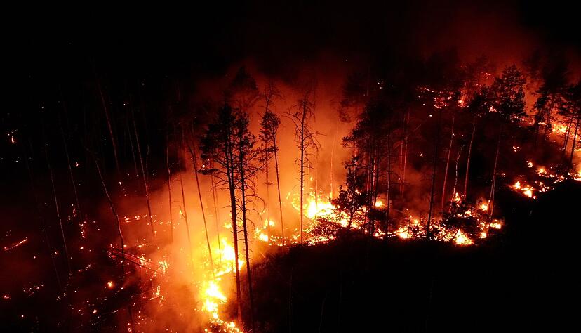 Flammen schlagen im Juni in einem Waldstück nahe Jüterbog in die Höhe.