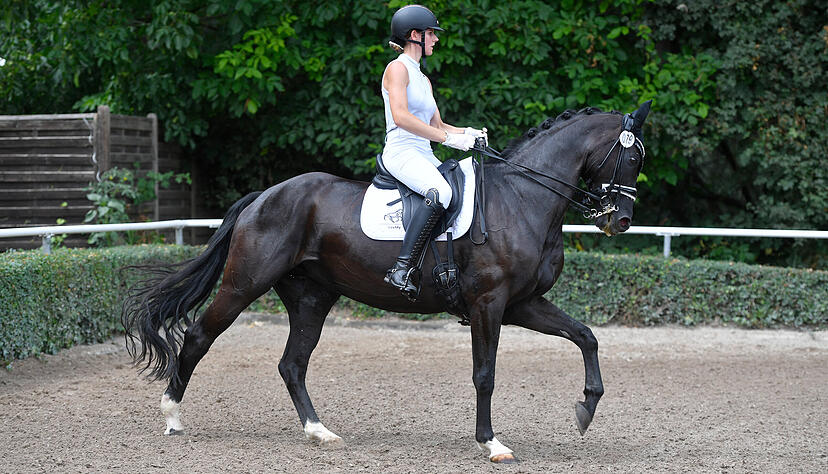 Als erstes Starterpaar &uuml;berragend vorgelegt: Ines Binder und Ferrero K&uuml;&szlig;chen holen am Sonntagnachmittag in Bad Friedrichshall 68,974 Prozent. Fast vier Stunden sp&auml;ter ist ihr zweiter Sieg in einer Dressurpr&uuml;fung der Klasse S* Fakt.
