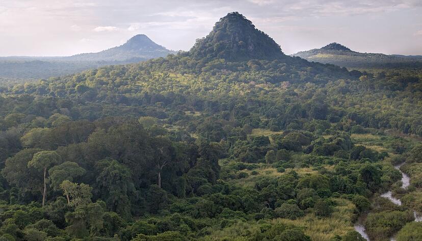 GorongosaNationalpark Mosambik Safari abseits der Massen STIMME.de