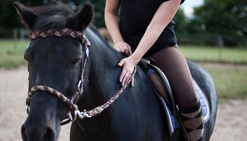 Auch Begegnungen mit Pferden können zu einer Therapie von psychischen Krankheiten gehören. Auch Begegnungen mit Pferden können zu einer Therapie von psychischen Krankheiten gehören.