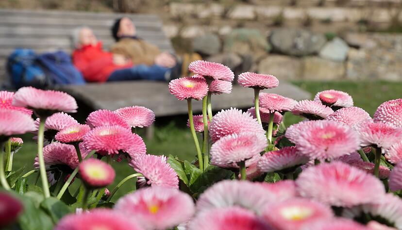 Der Wochenstart wird fr&uuml;hlingshaft in Baden-W&uuml;rttemberg.