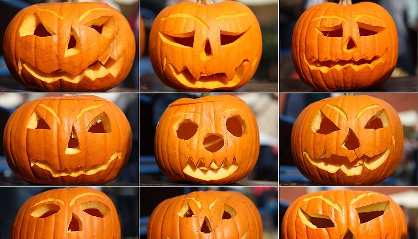 Geschnitzte Kürbisse: Nicht zuletzt Halloween hat den Kürbis hierzulande beliebter gemacht. (Archivbild) Geschnitzte Kürbisse: Nicht zuletzt Halloween hat den Kürbis hierzulande beliebter gemacht. (Archivbild)