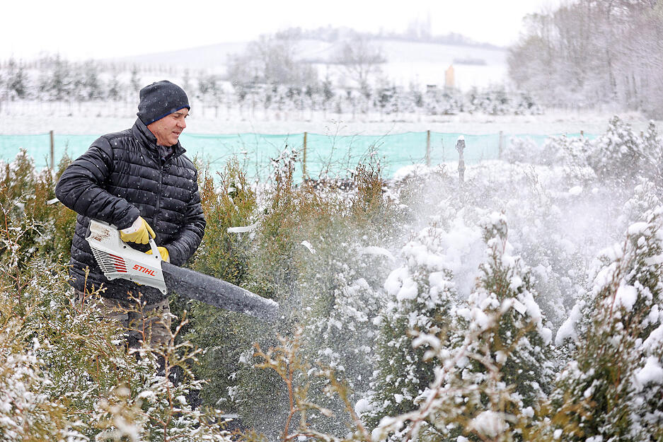 Schnee im April, Pflanzen werden von Robert Mazur von der Baumschule Kreisl bei Löwenstein mit einem Laubbläser vom Schnee befreit