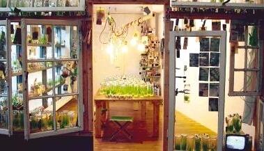 Die begehbare Installation &bdquo;Laboratorium/Wintergarten&ldquo; (2007) des Biologen und K&uuml;nstlers Klaus Fritze ist ein H&ouml;hepunkt der Ausstellung.Foto: Leonore Welzin