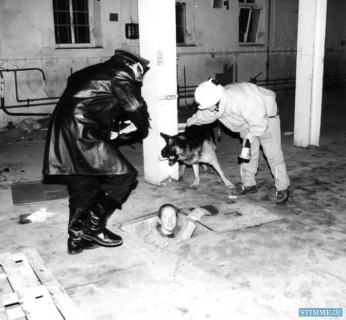 Dezember 1992: Gemeinsame Übung der Feuerwehr Lauffen und der Hundestaffel Unterland. Der Rettungshund spürt die Frau in ihrem Versteck auf und schlägt an. Die Hunde sind als Helfer in Notsituationen ausgebildet.