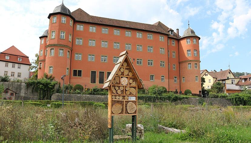 Mehr Naturrräume und Grün in der Stadt, unter anderem dafür hat sich der Klimabeirat seit 2021 stark gemacht. Nun wurde das Gremium in alter Form nicht mehr besetzt. Es gibt nun einen Klima-Ausschuss im Gemeinderat.