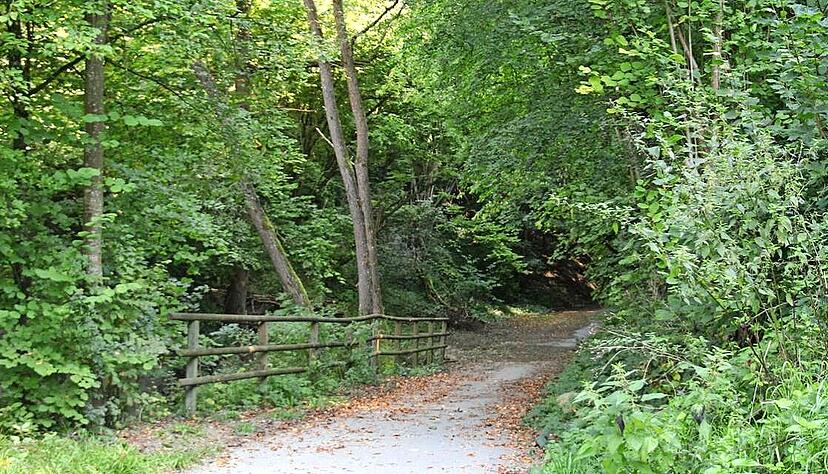 An diesem Feldweg bei Hessental soll die junge Mutter ihr Baby in einer Wanne ausgesetzt und allein gelassen haben. Foto: Kerstin Vlcek