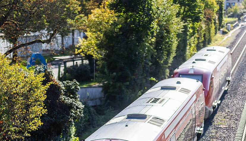 Die Züge der Hochrheinbahn fahren zwischen Basel und dem badischen Erzingen.