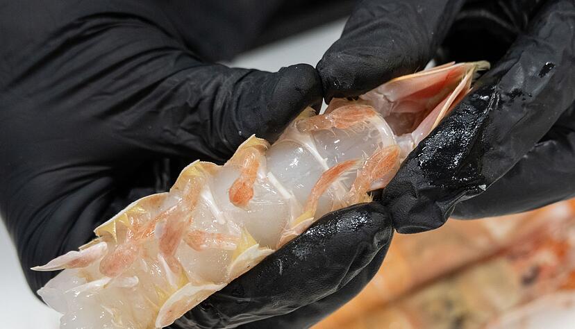 &Uuml;bungssache: Die Kruste von Scampi zu knacken, ist anfangs gar nicht so leicht.