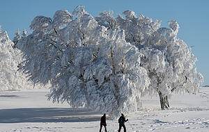 Finden auch Kinder cool und ist gar nicht teuer: Schneeschuhwandern. Foto: dpa