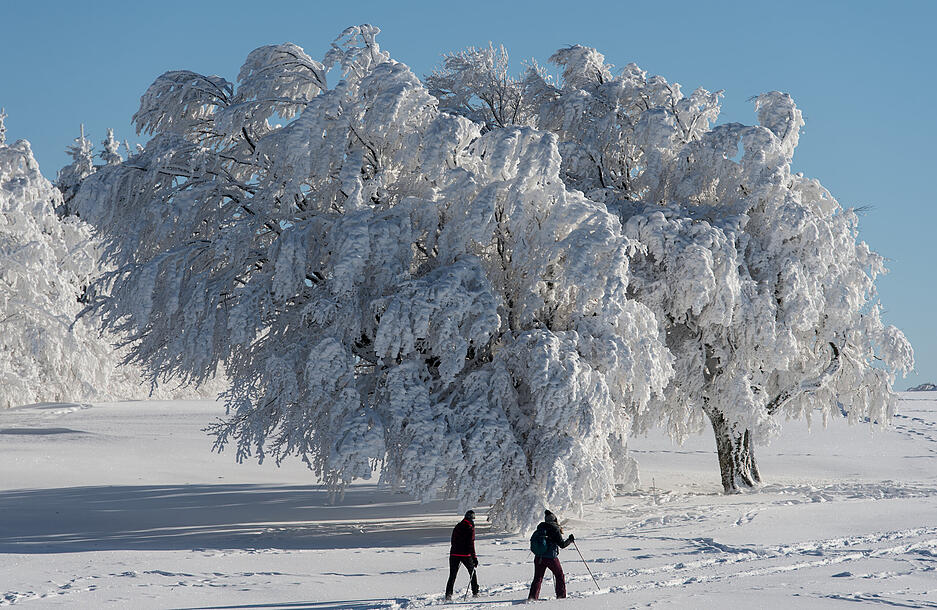 Finden auch Kinder cool und ist gar nicht teuer: Schneeschuhwandern. Foto: dpa