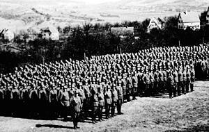 Aufmarsch am Grasigen Hag: Dabei handelte es sich laut Hobbyhistoriker Holger Wahl um ein Gel&ouml;bnis von Rekruten auf Hitler. Anfangs soll der alte Sportplatz als St&auml;tte des Treuerschwurs gedient haben.