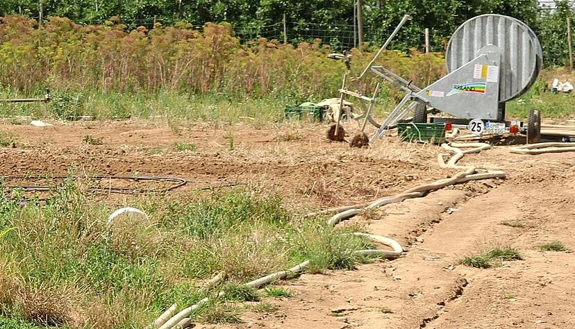 Glück haben derzeit all jene Landwirte, die aus eigenen Brunnen und Zisternen ihre Kulturen bewässern können.
Foto: Yvonne Tscherwitschke