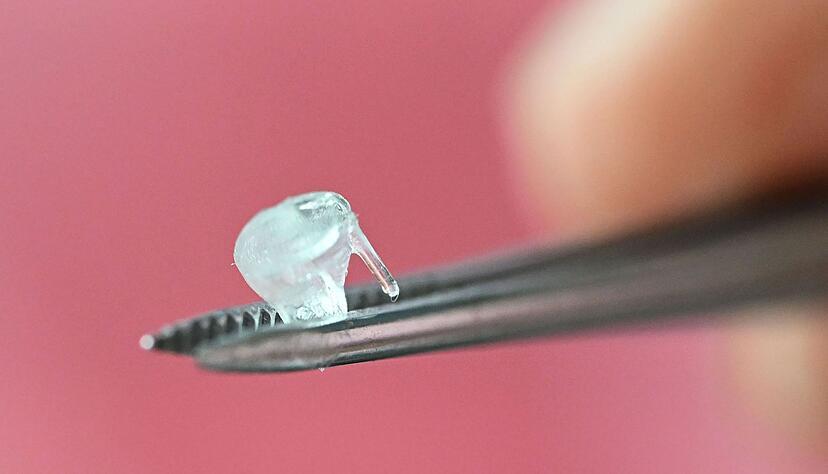 Selbst mit einer Pinzette sind die 3D-gedruckten Baby-Herzklappen kaum zu fassen.