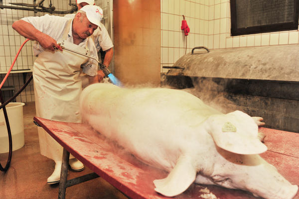 Hausschlachtung | 04.10. Hausschlachtung | 04.10.