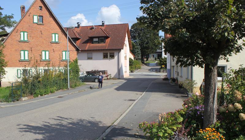 Wo die AfD in Ruchsen Zuspruch findet? Im Neubaugebiet bei Zugewanderten und im alten Ortskern bei der älteren Generation, vermutet ein Ruchsener.
Foto: Lisa Reiff Wo die AfD in Ruchsen Zuspruch findet? Im Neubaugebiet bei Zugewanderten und im alten Ortskern bei der älteren Generation, vermutet ein Ruchsener.
Foto: Lisa Reiff