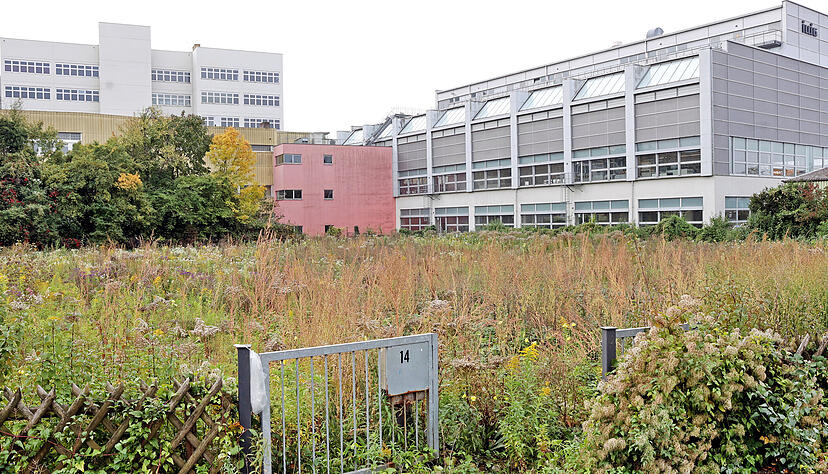 Auf diesem 35 Ar großen Grundstück an der Sontheimer Landwehr ist ein Gebäudekomplex aus einem Drei-Sterne-Plus-Hotel mit 140 Zimmern sowie 29 Zwei- bis Drei-Zimmer-Wohnungen geplant.
Foto: Ralf Seidel