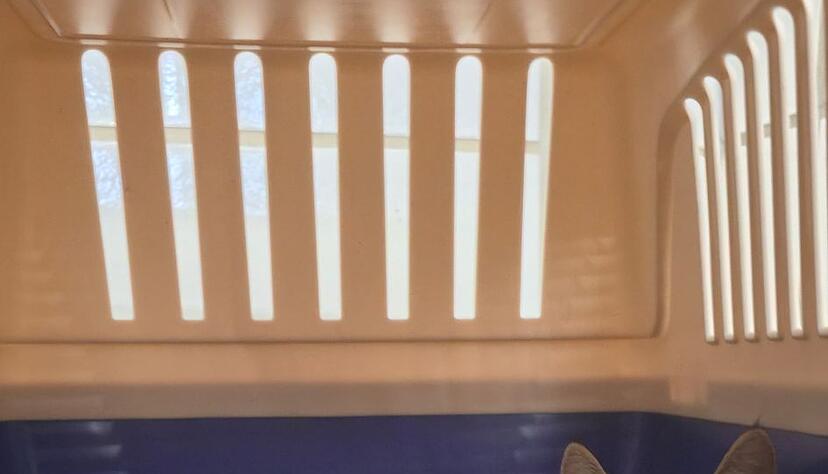 Die Katzenbabys kamen in gute H&auml;nde.