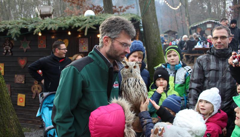 Falkner Roland Werner und seine Begleiter kommen gut an. Begeistert streicheln die Kinder über das Gefieder der Greifvögel.
Foto: Carolin Bozic