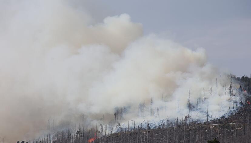 Vor zwei Jahren hatte der Landkreis Harz den Katastrophenfall wegen eines Brandes am Brocken ausgerufen - jetzt ist dort wieder ein Feuer ausgebrochen.