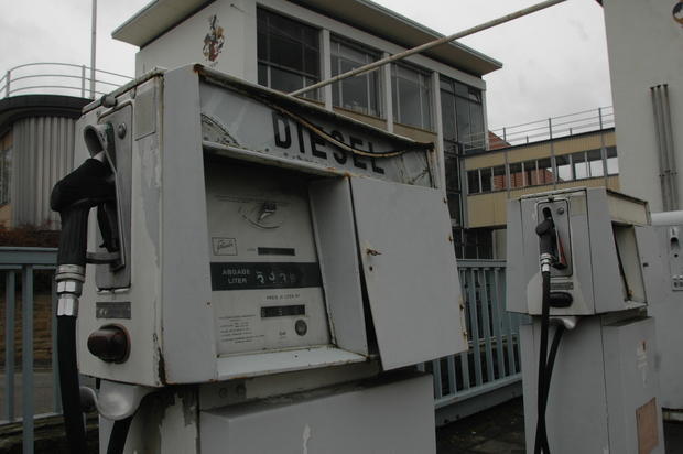 Palmbr&auml;u in Not