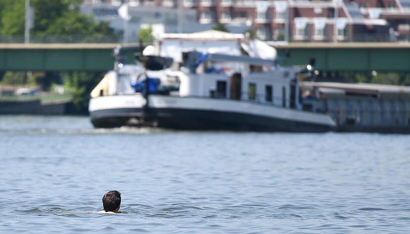 Fast die H&auml;lfte des Wassers im Neckar stammt im Sommer aus den Kl&auml;ranlagen der Gegend.(Archiv)
