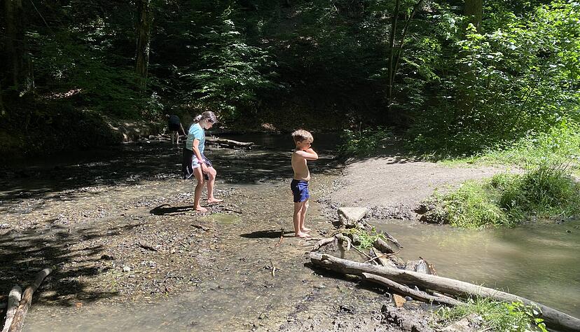 Staudamm bauen und abkühlen: Wo der Mühlbach mitten im Wald sein breitestes Flussbett erreicht, ist der beste Outdoor-Spielplatz.