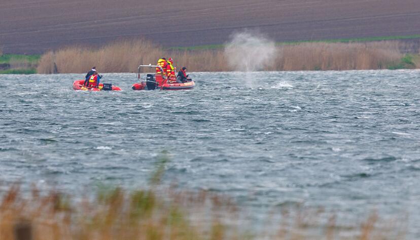 Mit Booten wurde versucht, den gestarteten Wal in die richtige Richtung zu treiben.