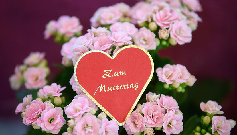 Blumen zählen zu den beliebtesten Geschenken zum Mutterag (Symbolbild).
