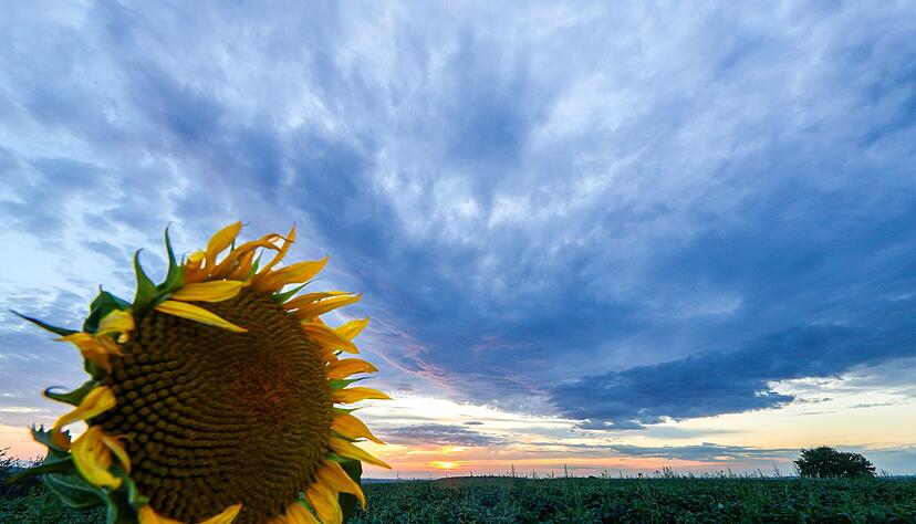 Für das Wochenende wird nach einem sonnigen Samstag Regen erwartet. (Archivbild) Für das Wochenende wird nach einem sonnigen Samstag Regen erwartet. (Archivbild)