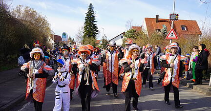 Faschingsumzug Ellhofen
