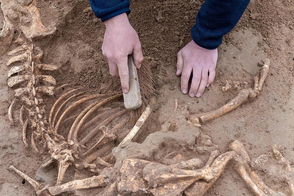 Ausgrabungen auf Campus-Baustelle Ausgrabungen auf Campus-Baustelle