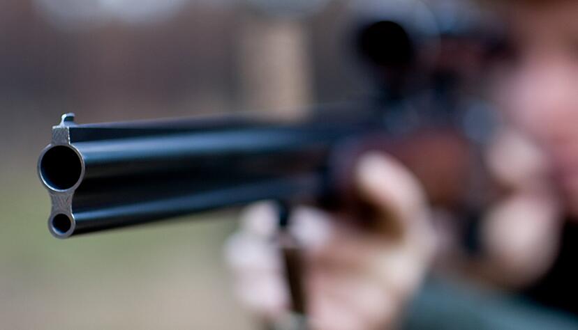 Zu viel oder zu wenig? Klare Vorgaben für Abschusszahlen gibt es nicht. Zu viel oder zu wenig? Klare Vorgaben für Abschusszahlen gibt es nicht.