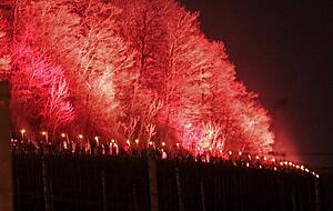 Glühend rot sind die Bäume entlang der Oberkante der Weinberge beleuchtet. Auf den Wegen sind tausende Menschen unterwegs. Glühend rot sind die Bäume entlang der Oberkante der Weinberge beleuchtet. Auf den Wegen sind tausende Menschen unterwegs.