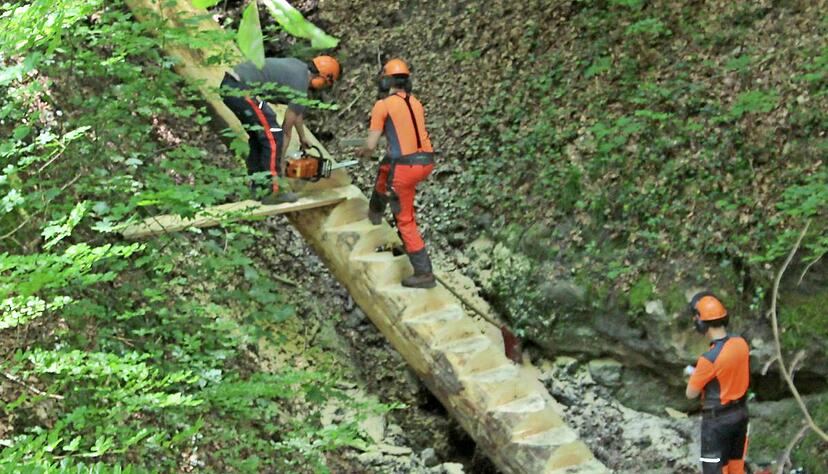 Auf dem Rundwanderweg drei der Gemeinde Wüstenrot sägt Förster Simon Zoller mit seinen Assistenten die Stufen der neuen Himmelsleiter aus. Foto: Gustav Döttling Auf dem Rundwanderweg drei der Gemeinde Wüstenrot sägt Förster Simon Zoller mit seinen Assistenten die Stufen der neuen Himmelsleiter aus. Foto: Gustav Döttling